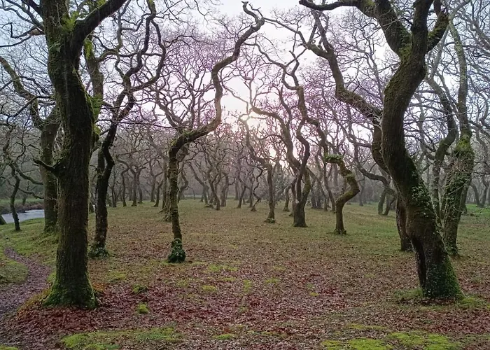 アパート Pose Baio *